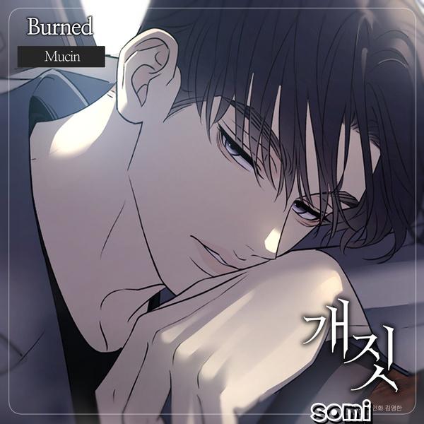 Image Cover